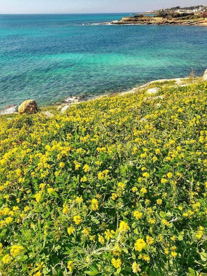 Home Salento 1 توري فادو المظهر الخارجي الصورة